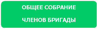 Блок-схема: альтернативный процесс: ОБЩЕЕ СОБРАНИЕ
ЧЛЕНОВ БРИГАДЫ
